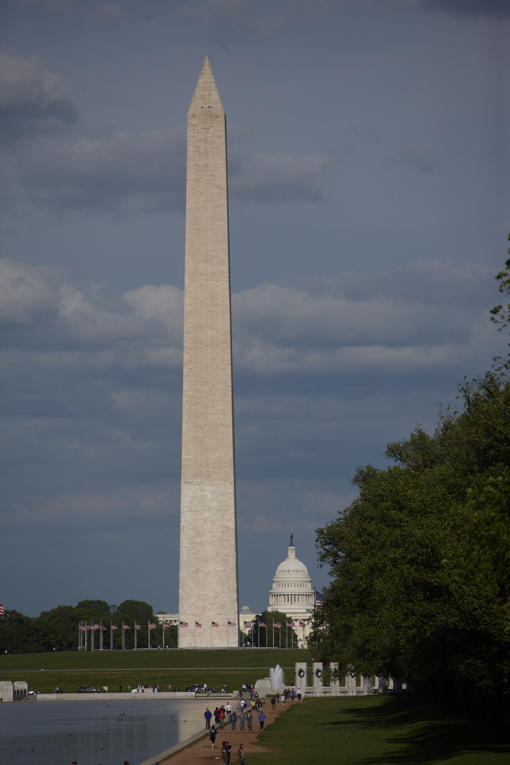 1o2d6595_1.jpg