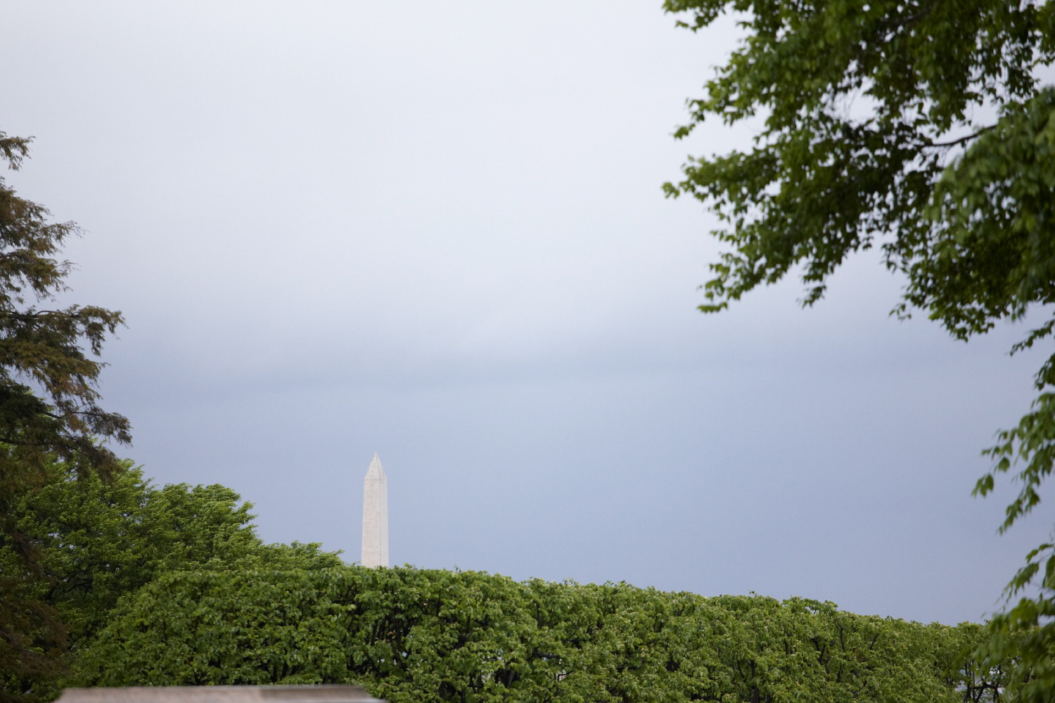 hf_4.23.12_1081.jpg