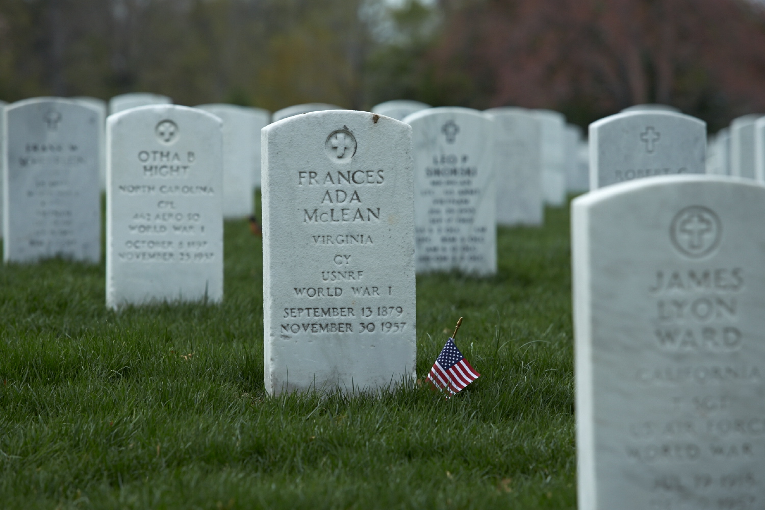 hf_15__1003.jpg