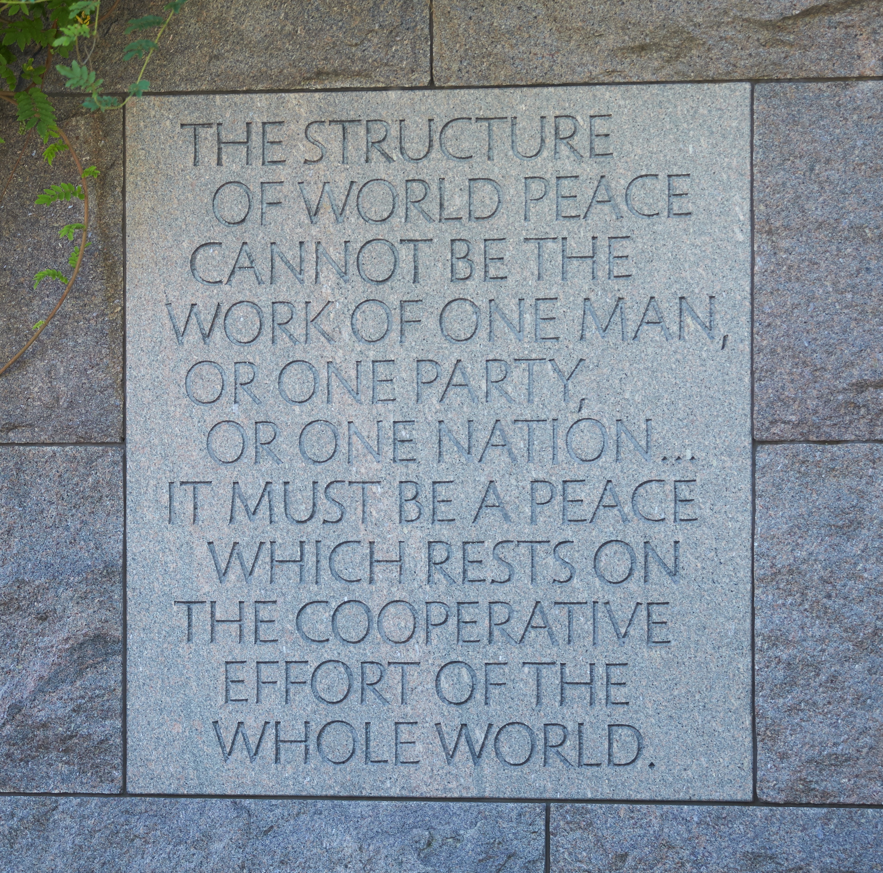 hf26_16511.jpg