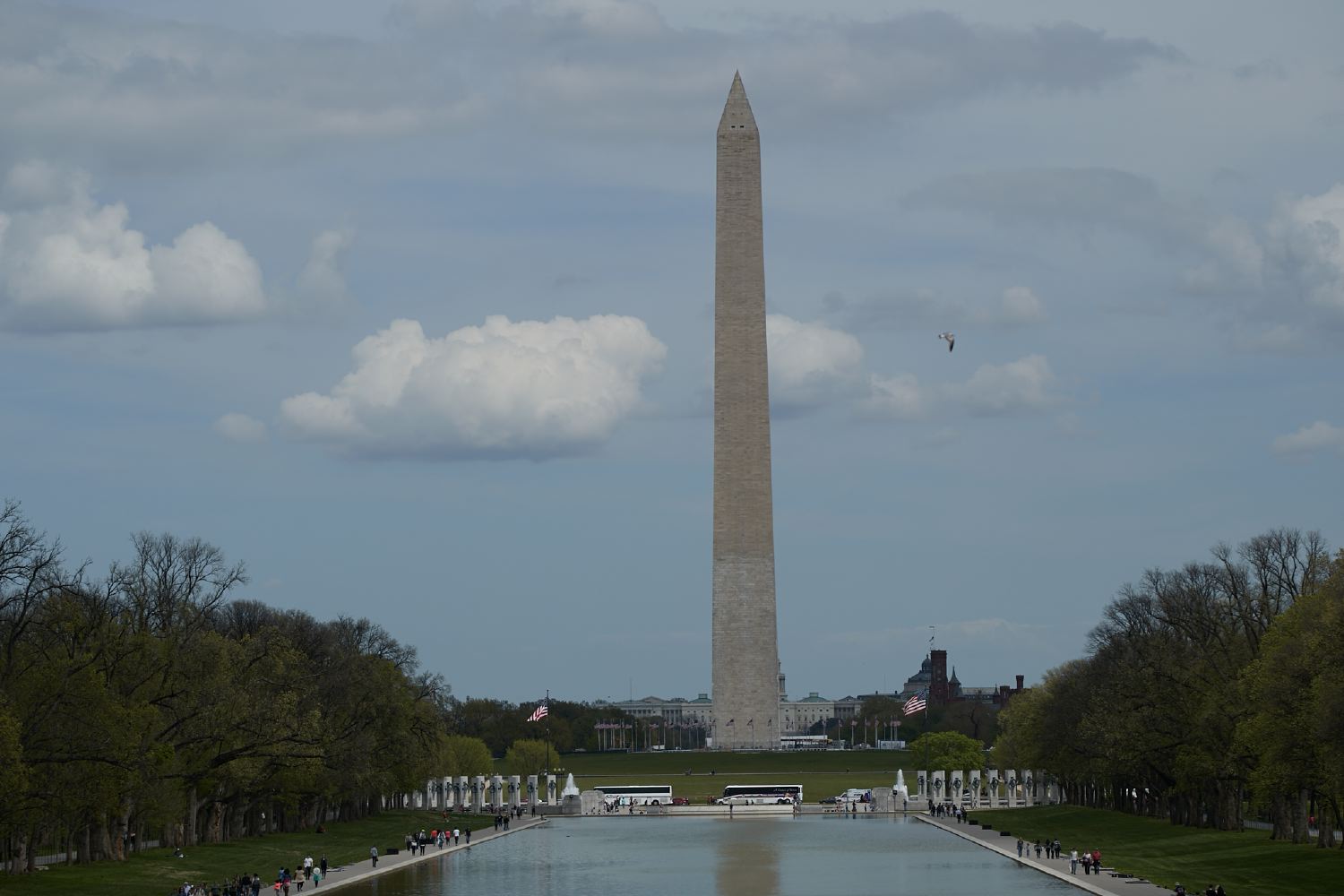 hf_31_7143.jpg