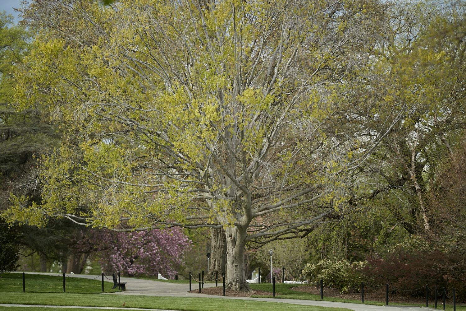 hf_31_7851.jpg
