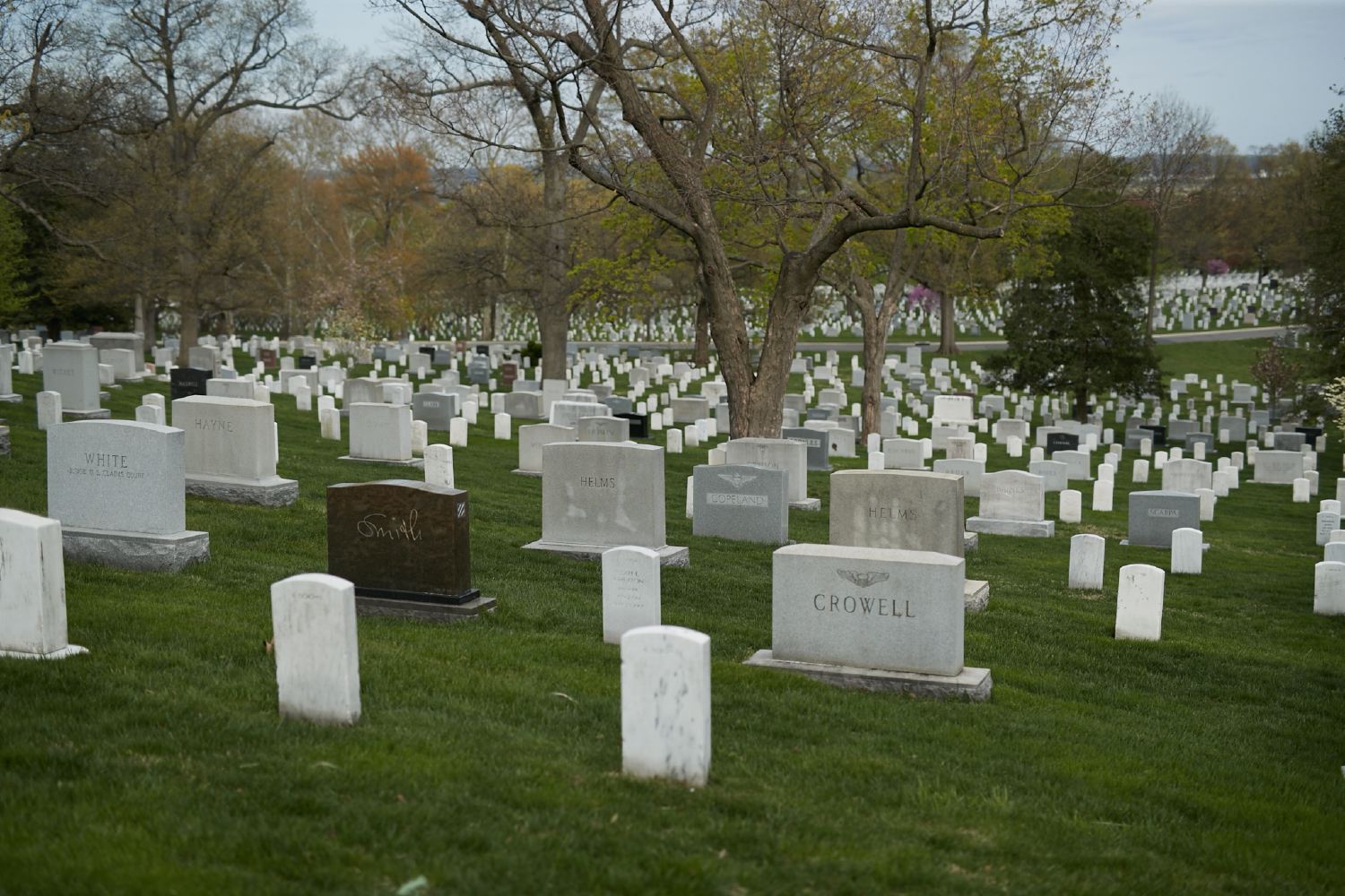 hf_31_7881.jpg