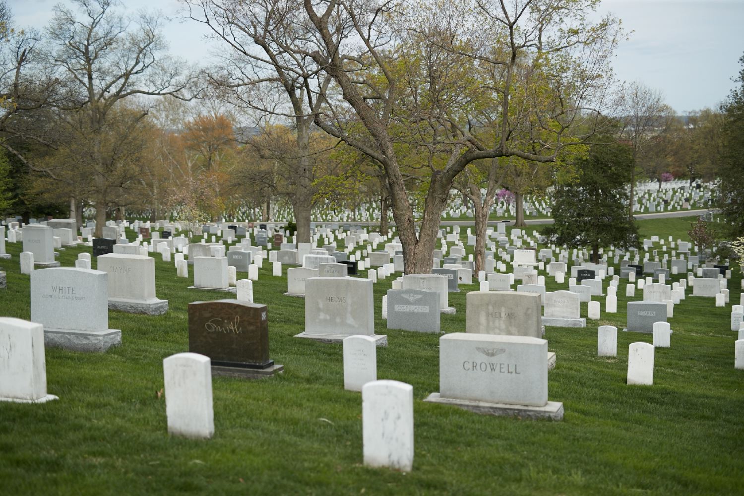 hf_31_7885.jpg