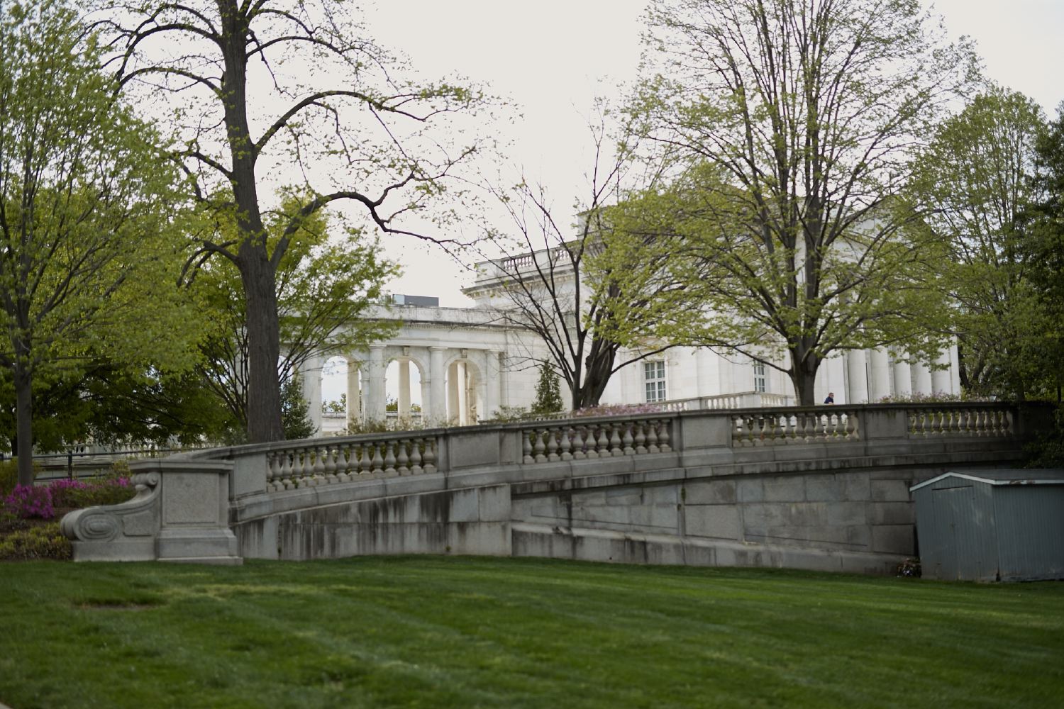 hf_31_7903.jpg