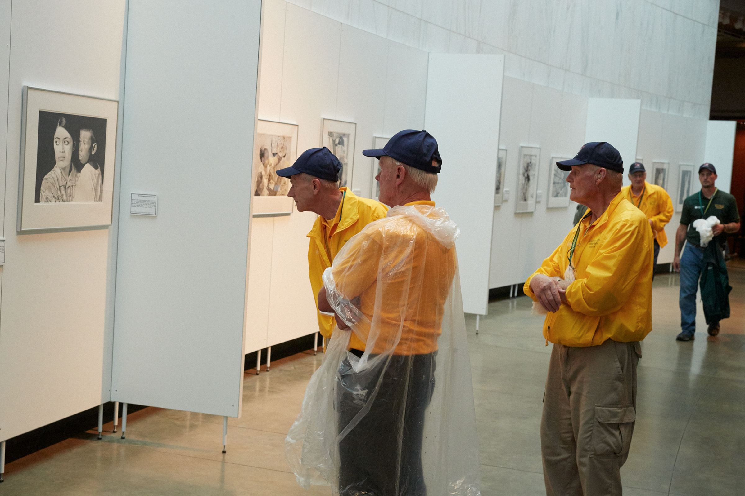hf33_17169.jpg