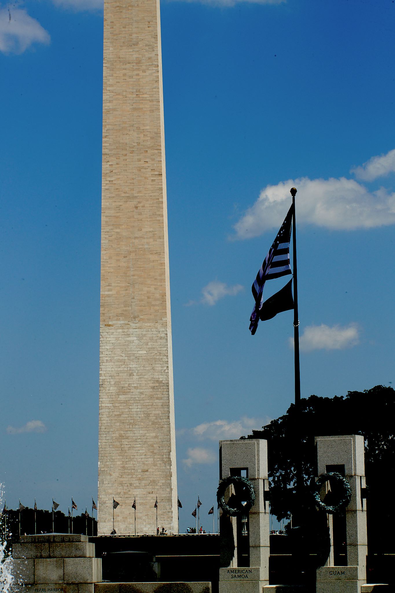 hf_39__11678.jpg