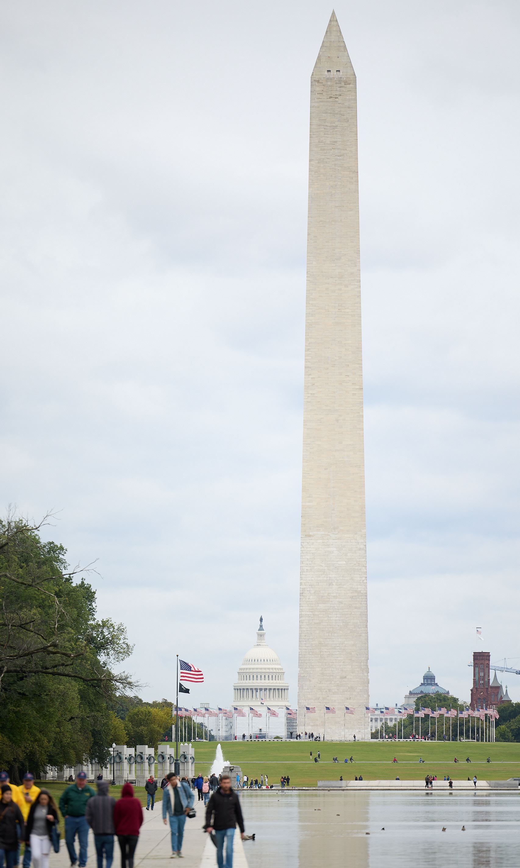 hf_42_49133.jpg