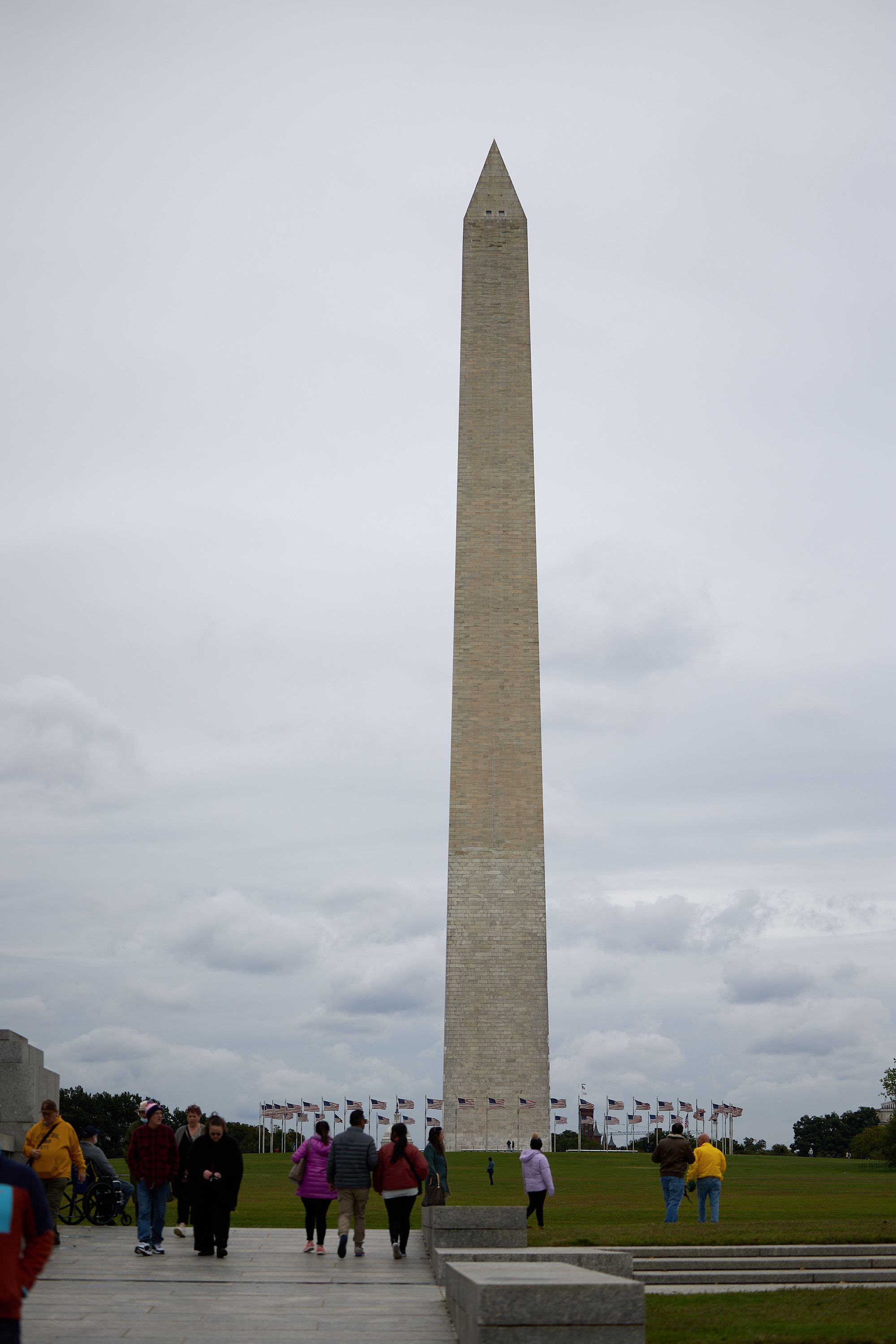 hf_42_49225.jpg