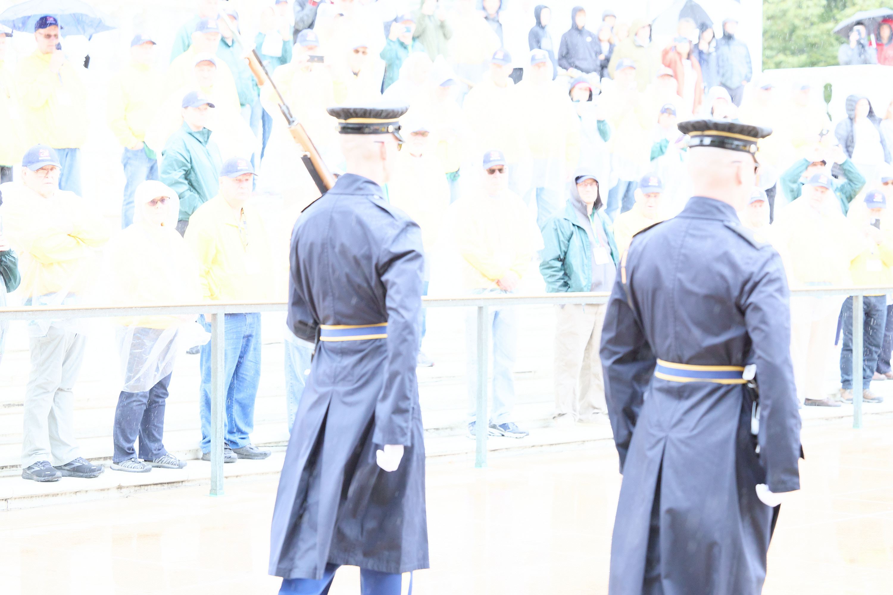 hf_42_49387.jpg