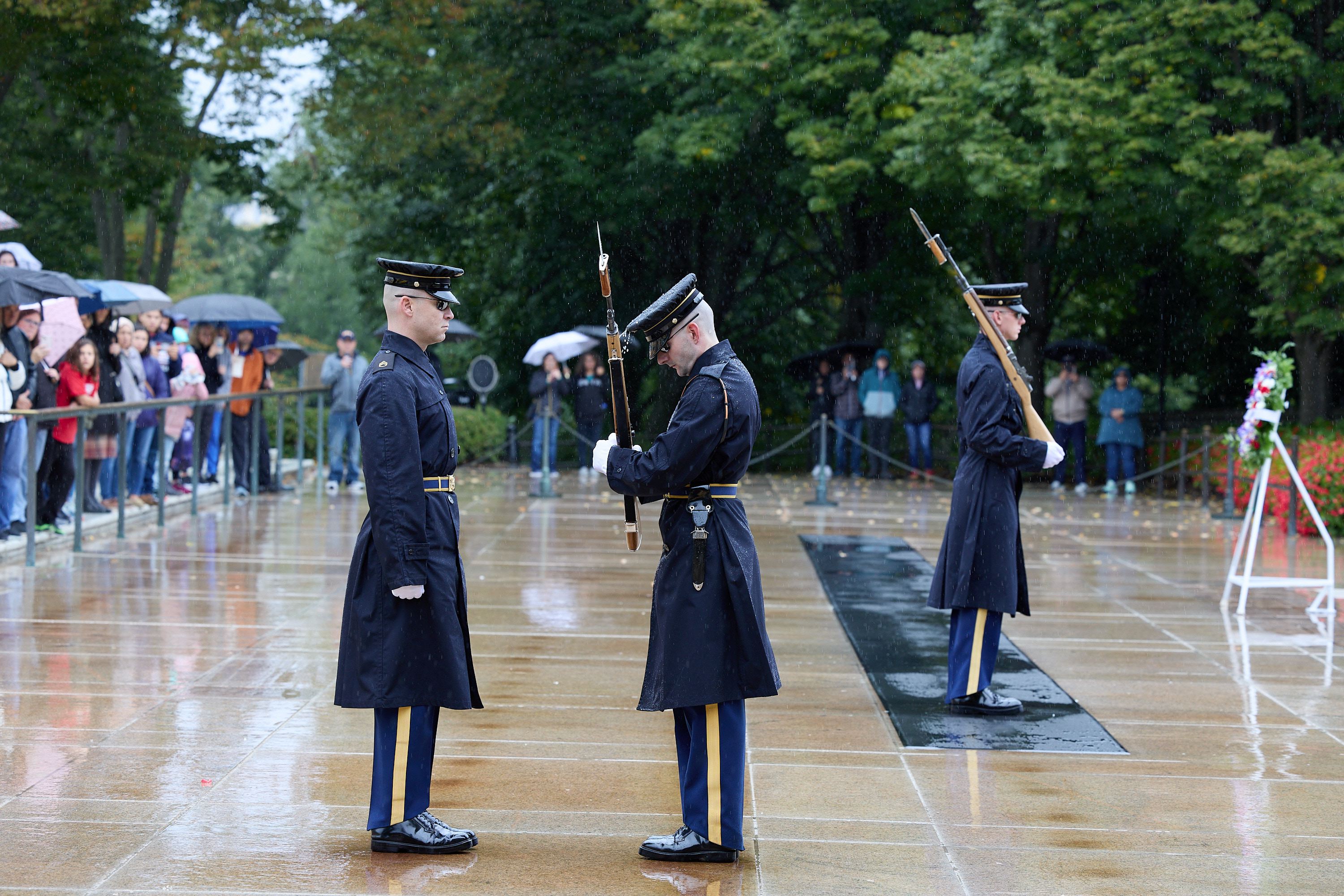 hf_42_49396.jpg