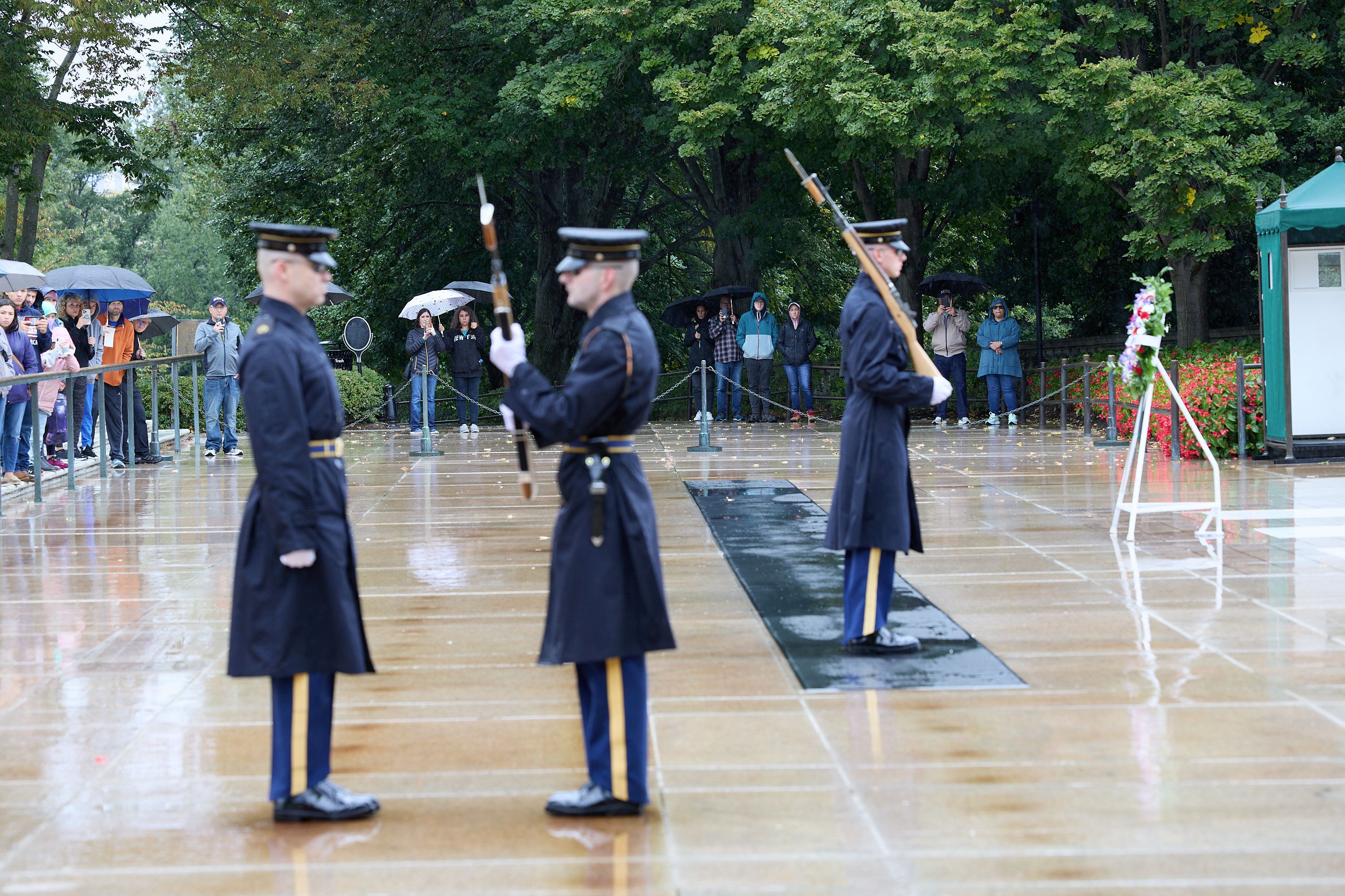 hf_42_49398.jpg